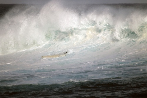 BIG XXL Wave Surfing North Tenerife
