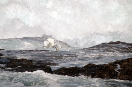 La Santa Lanzarote Big Wave Surfing Vacas Alex Zirke 03-02-2017