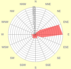 Wind force and direction in El Medano Tenerife